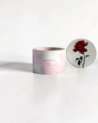 Rose N°66